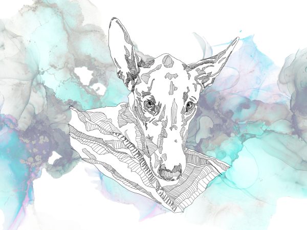 Illustration Commission - Image 12