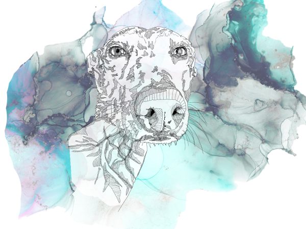 Illustration Commission - Image 11
