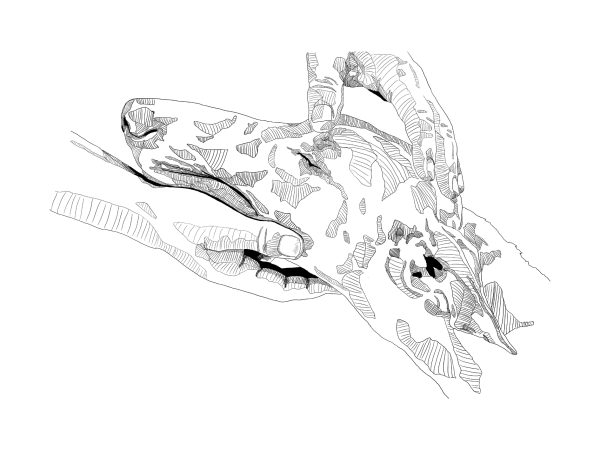 Illustration Commission - Image 9