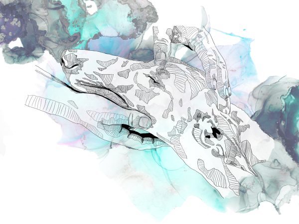 Illustration Commission - Image 10