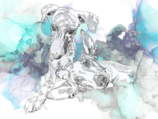 Illustration Commission - Image 4