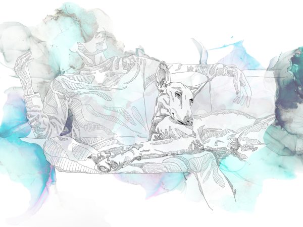 Illustration Commission - Image 8