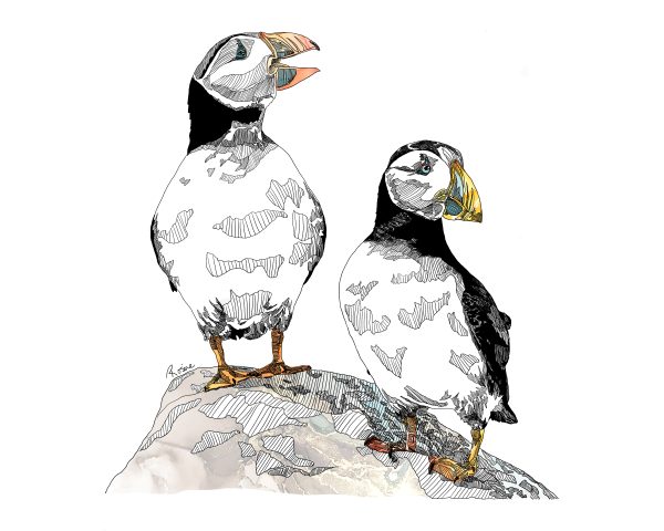 Illustration Commission - Image 14