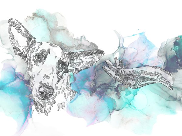Illustration Commission - Image 6