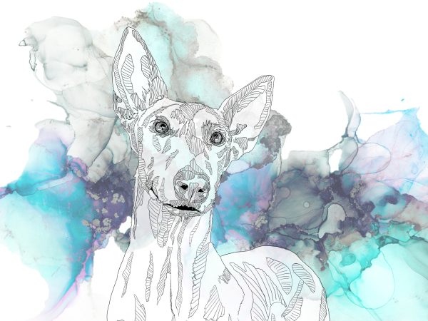 Illustration Commission - Image 7
