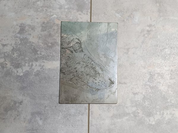 Sight - Image 5