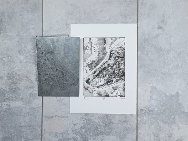 Sight - Image 7