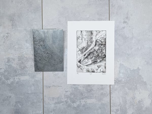 Sight - Image 6