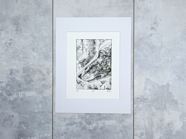 Sight - Image 3