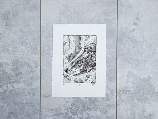Sight - Image 4