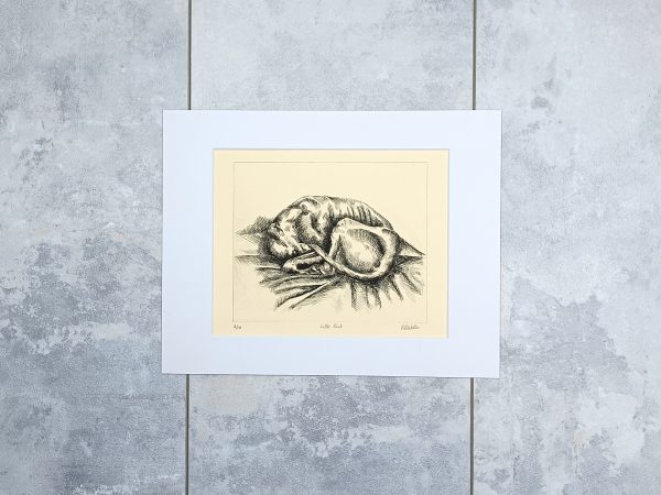 Little Knot - Image 4