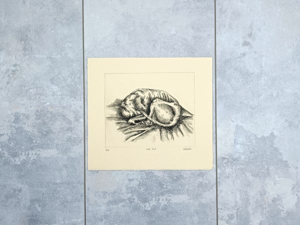 Little Knot - Image 5