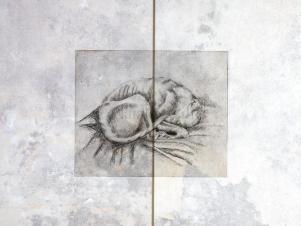 Little Knot - Image 6