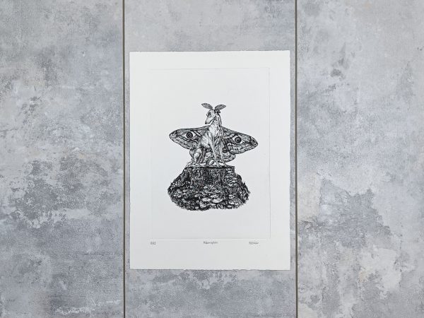 Metamorphosis - Image 6