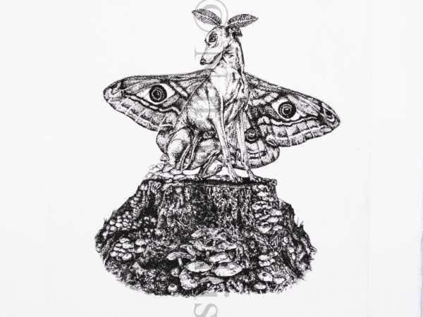 Metamorphosis - Image 5
