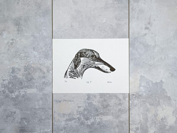 Galgo II - Image 5