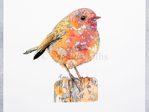 Robin Print - Image 3