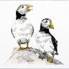 Puffin Print - Image 6