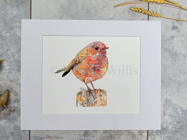 Robin Print - Image 5