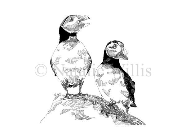 Puffin Print - Image 4
