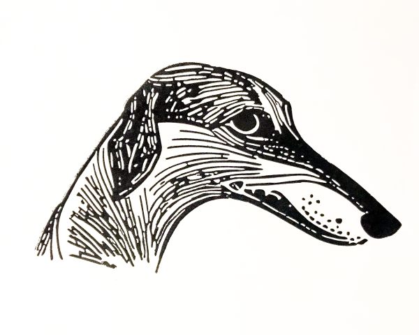 Galgo II - Image 2