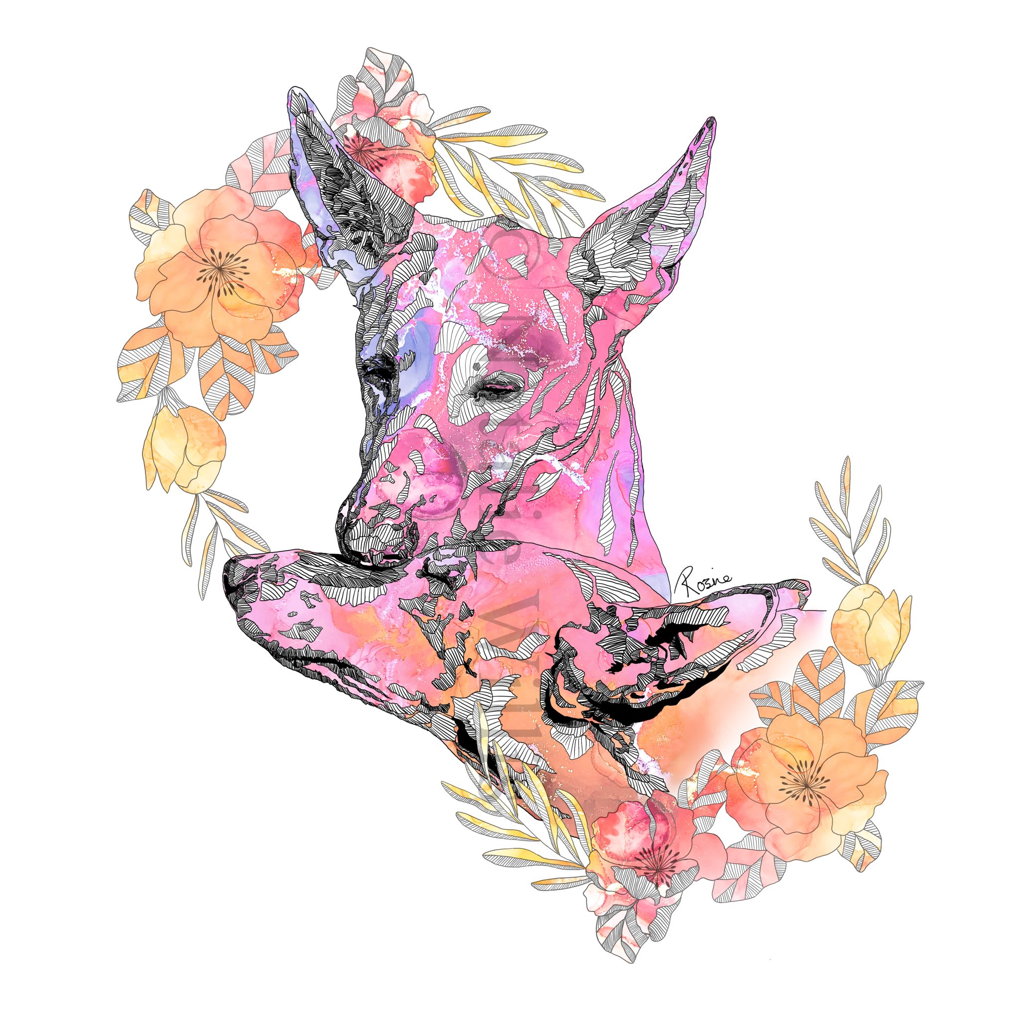 Illustrations