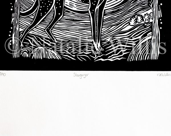 Stargazer - Image 7