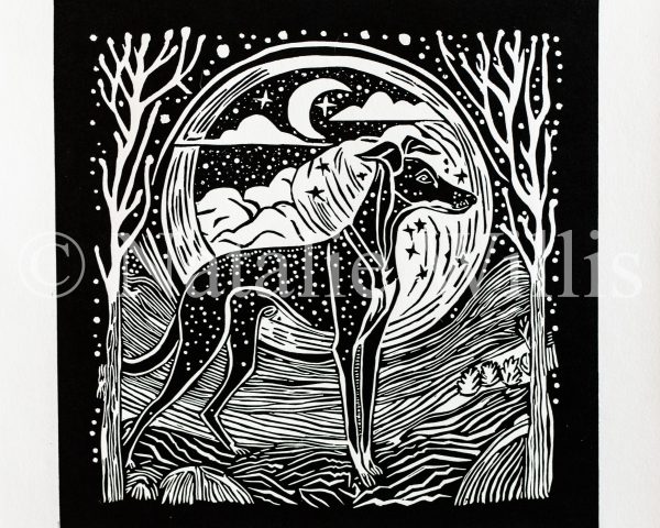 Stargazer - Image 4
