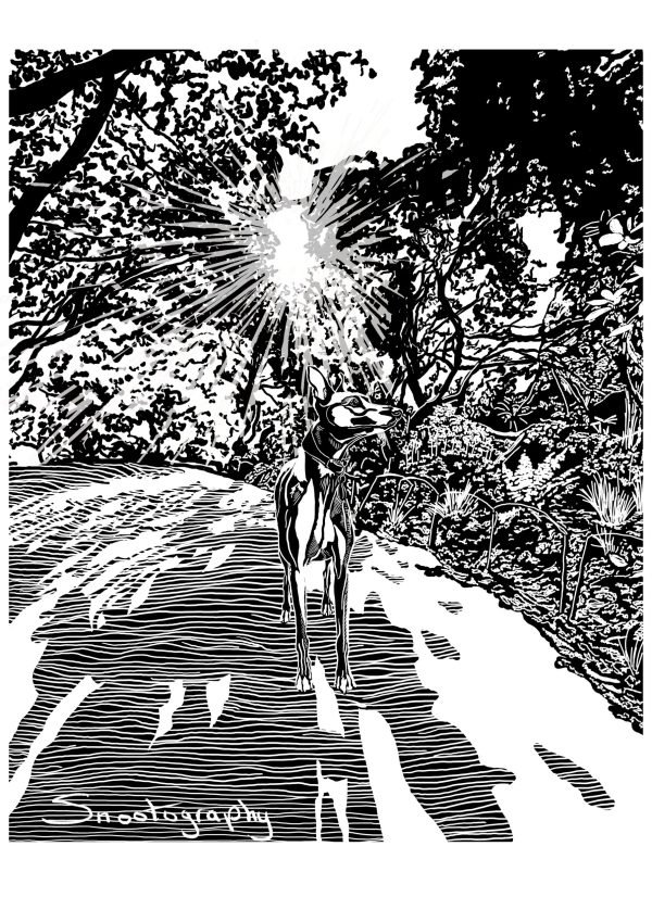 Alfie - Image 3