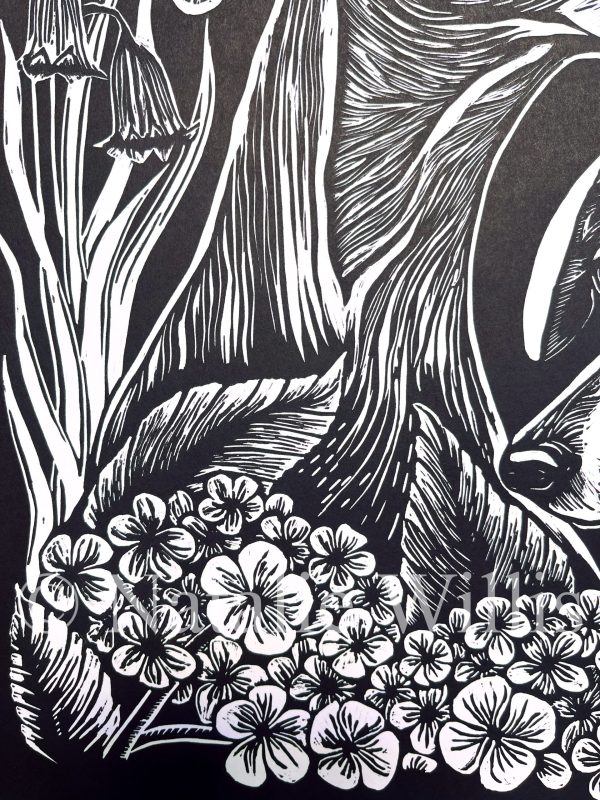 Spanish Bluebells - Image 6