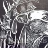 Spanish Bluebells - Image 4