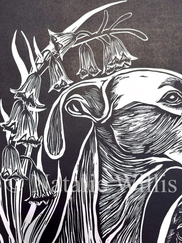Spanish Bluebells - Image 4