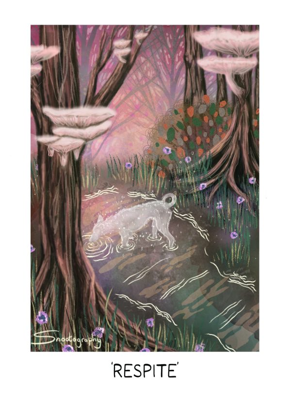 Snootography Calendar 2026/2027 Presale - Image 13